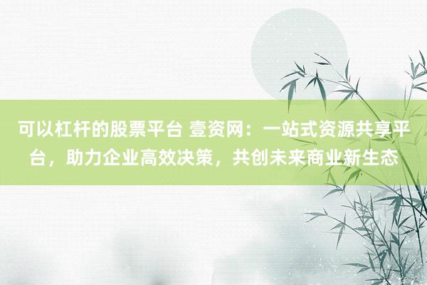 可以杠杆的股票平台 壹资网：一站式资源共享平台，助力企业高效决策，共创未来商业新生态