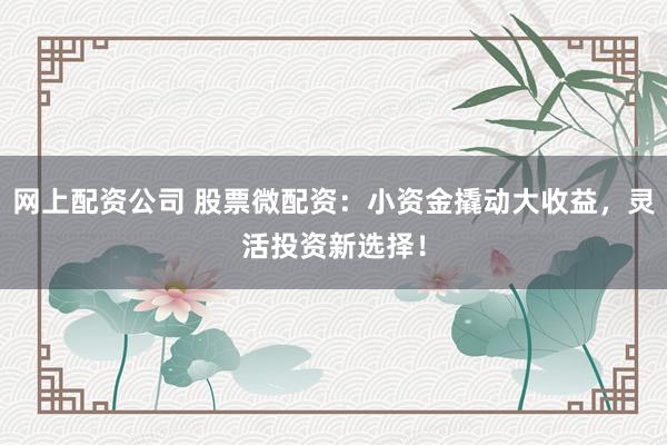 网上配资公司 股票微配资：小资金撬动大收益，灵活投资新选择！