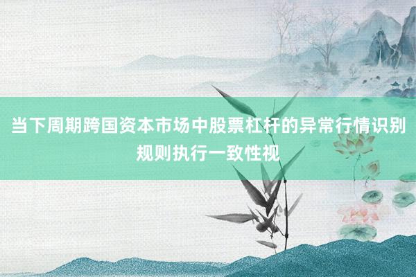 当下周期跨国资本市场中股票杠杆的异常行情识别规则执行一致性视