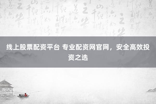 线上股票配资平台 专业配资网官网，安全高效投资之选
