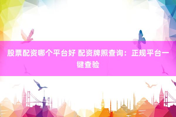 股票配资哪个平台好 配资牌照查询：正规平台一键查验