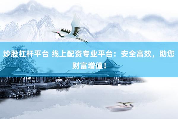 炒股杠杆平台 线上配资专业平台：安全高效，助您财富增值！