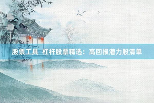股票工具  杠杆股票精选：高回报潜力股清单