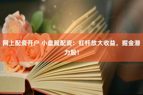 网上配资开户 小盘股配资：杠杆放大收益，掘金潜力股！